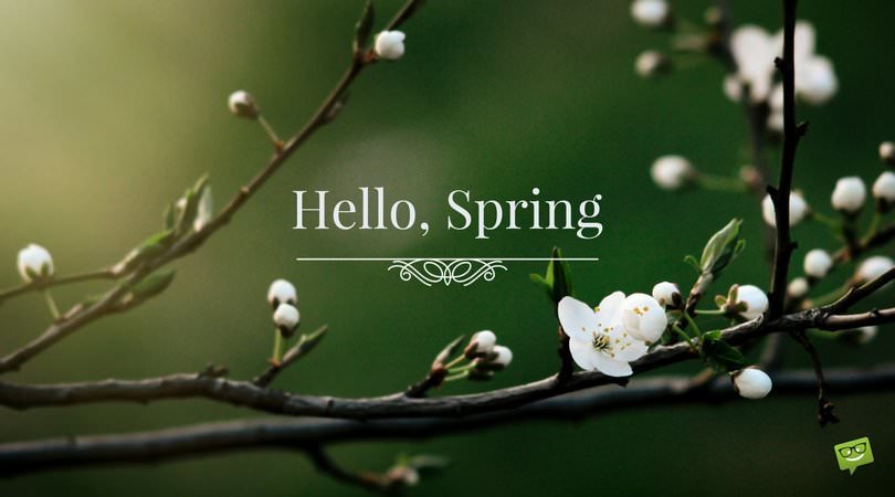 Campus de Primavera «Hello Spring!» (formulario de consulta)